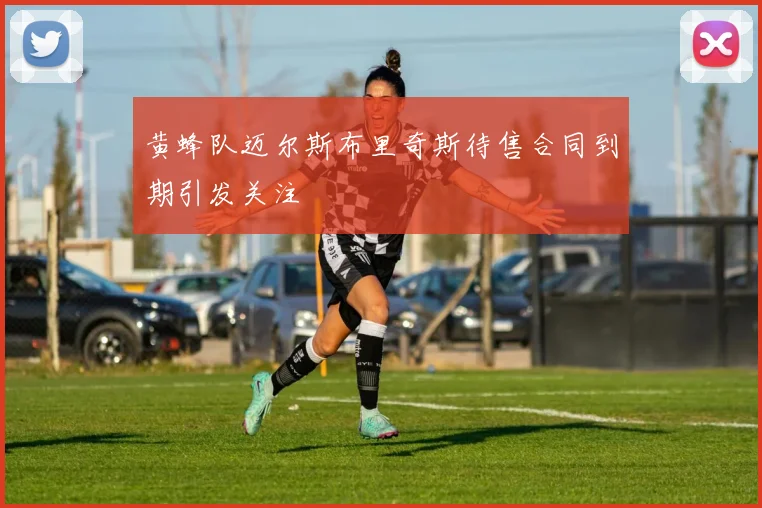 黄蜂队迈尔斯布里奇斯待售合同到期引发关注